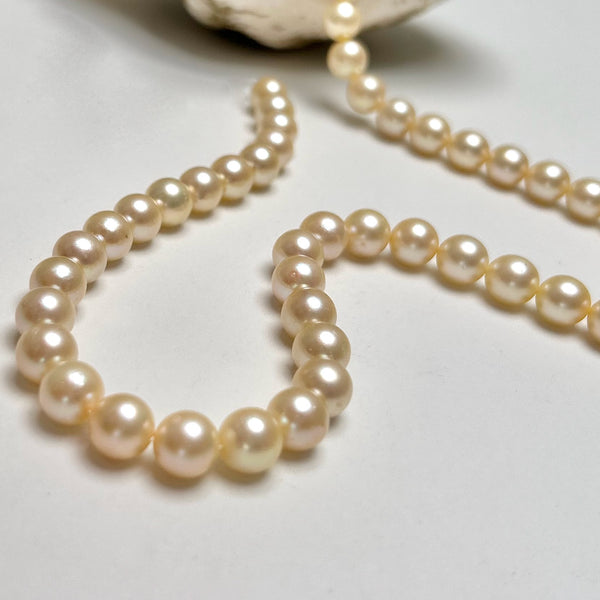 thumbnail image 2 of Vintage 18" Hand-Knotted Natural Multicolor Akoya Pearl Necklace With Earrings 2 of 6