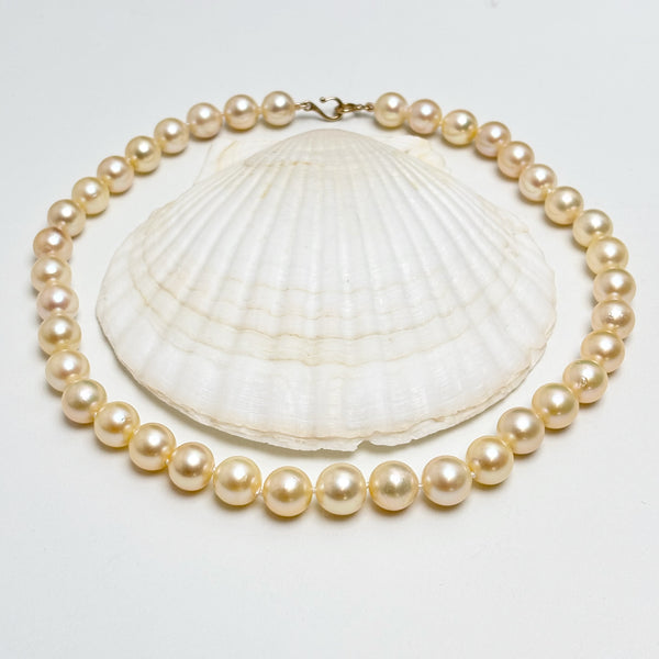 Exquisite large size Japanese Akoya Pearl Necklace