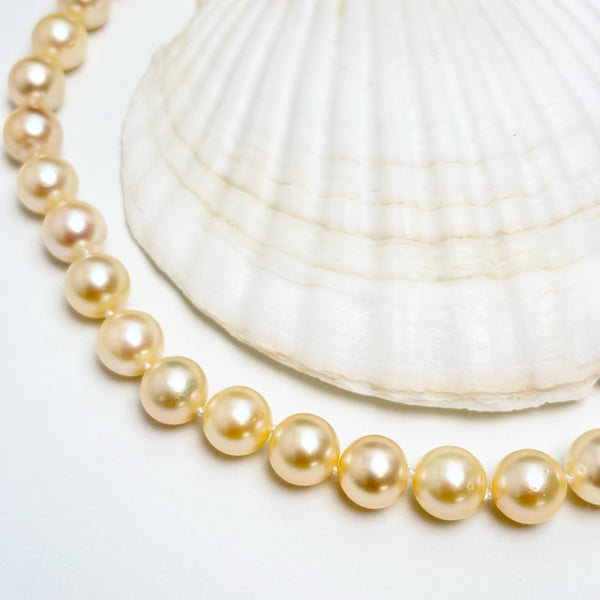 Exquisite large size Japanese Akoya Pearl Necklace