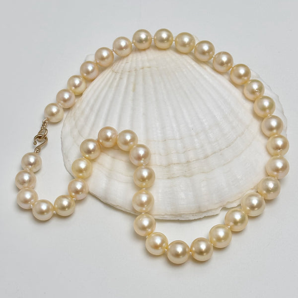 Exquisite large size Japanese Akoya Pearl Necklace