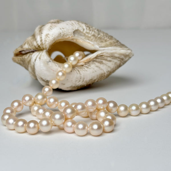 8-8.9mm long strand of Japan Akoya pearls