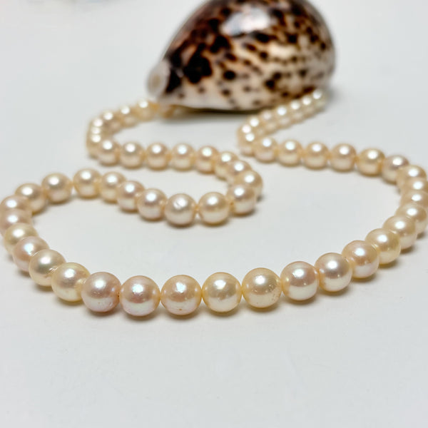 8-8.8mm Japan Akoya pearl strand