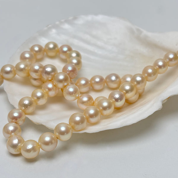 8-8.8mm Japan Akoya pearl strand