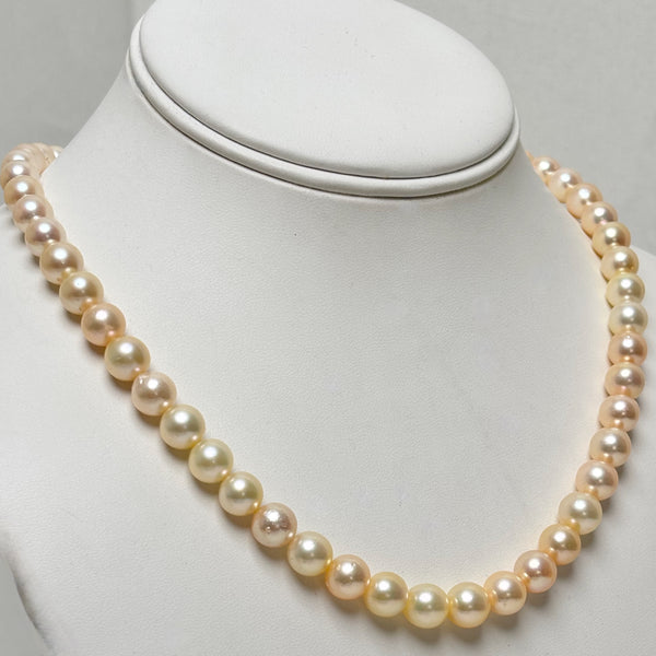 soft golden with peach overtones Japan Akoya pearl strand