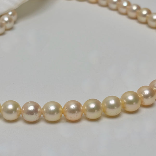 soft golden with peach overtones Japan Akoya pearl strand