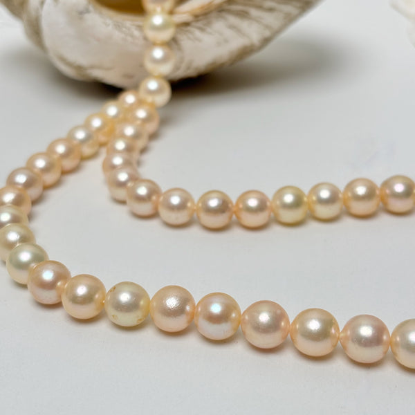 8.3-8.8mm Japan Akoya pearl strand with light peach overtones