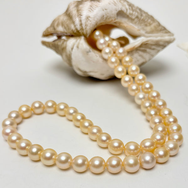 8.3-9mm Japan Akoya soft golden pearls