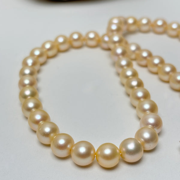 8.3-9mm Japan Akoya soft golden pearls