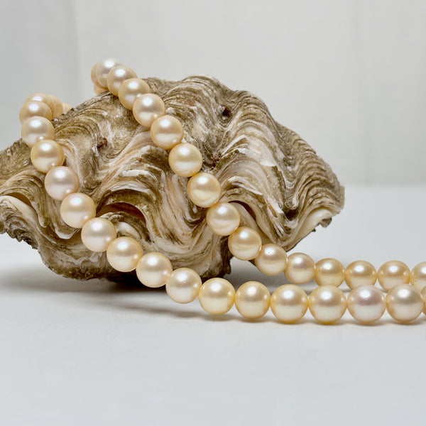 8.3-9mm Japan Akoya soft golden pearls