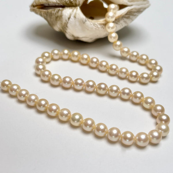 6.4-8.4mm Japan Akoya pearl strand