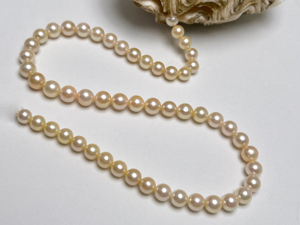 6.4-8.4mm Japan Akoya pearl strand