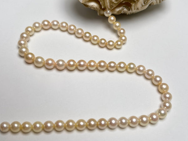 6.4-8.4mm Japan Akoya pearl strand