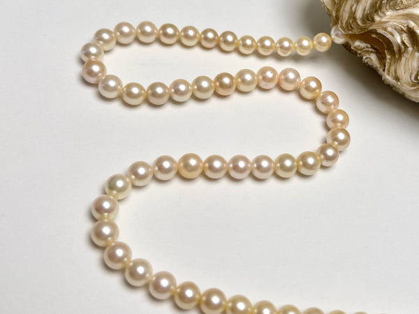 6.4-8.4mm Japan Akoya pearl strand