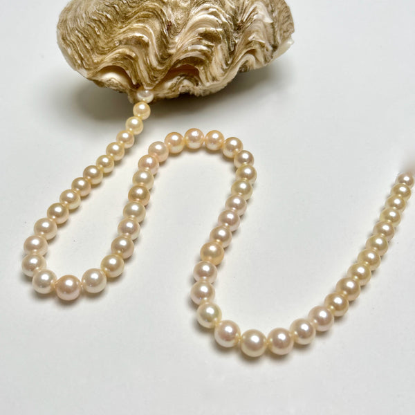 6.4-8.4mm Japan Akoya pearl strand