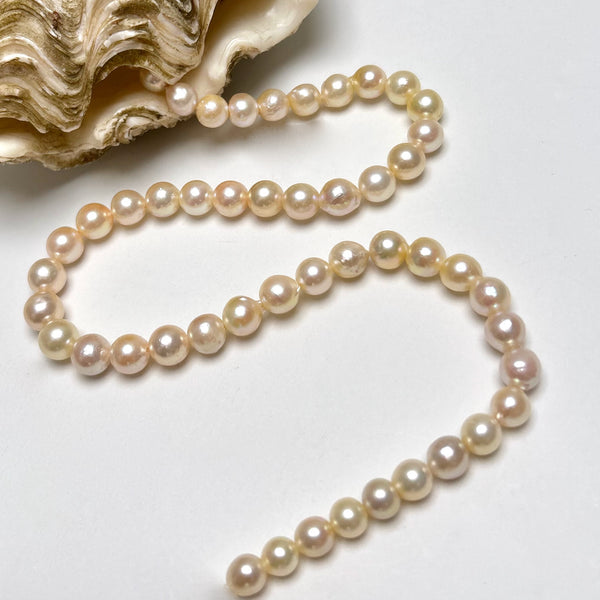 6.5-8.9mm Japan Akoya pearl strand