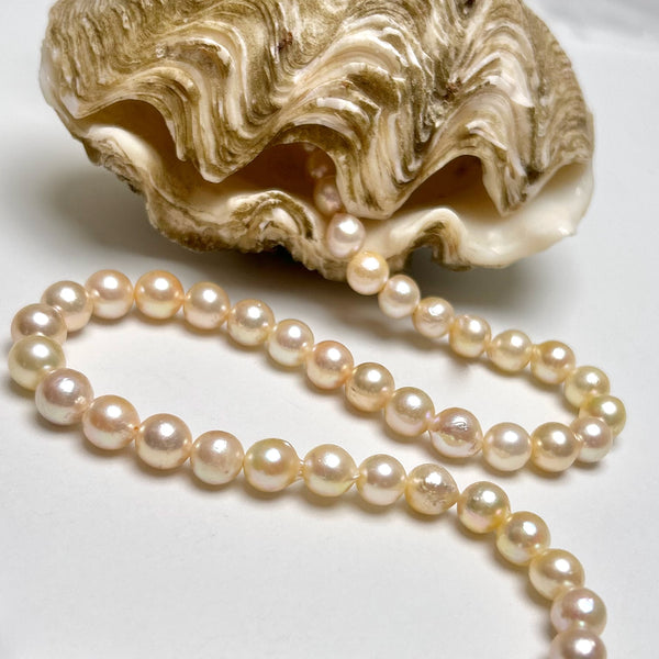 6.5-8.9mm Japan Akoya pearl strand