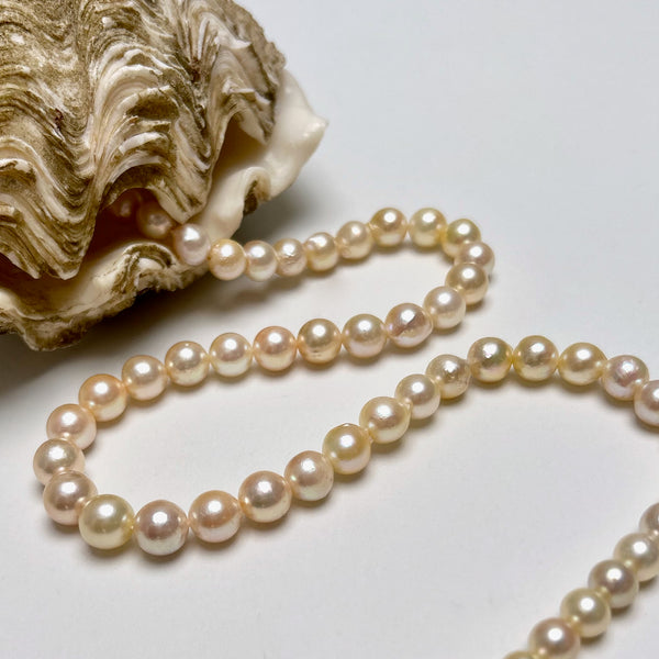 6.5-8.9mm Japan Akoya pearl strand