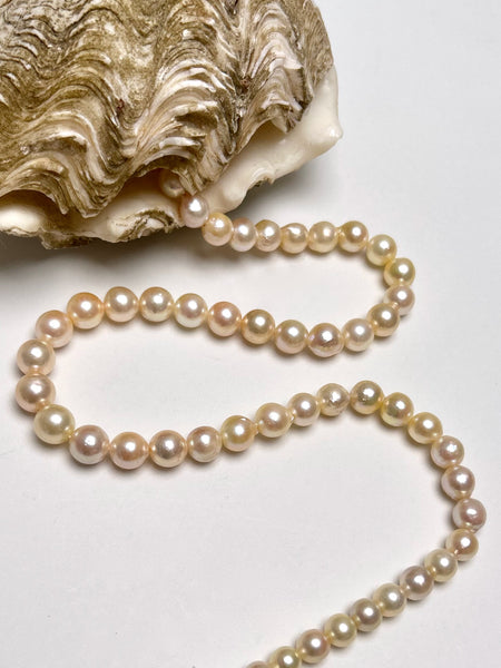 6.5-8.9mm Japan Akoya pearl strand