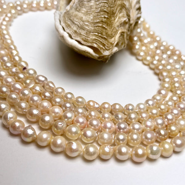 7-8mm Japan Akoya pearl strand