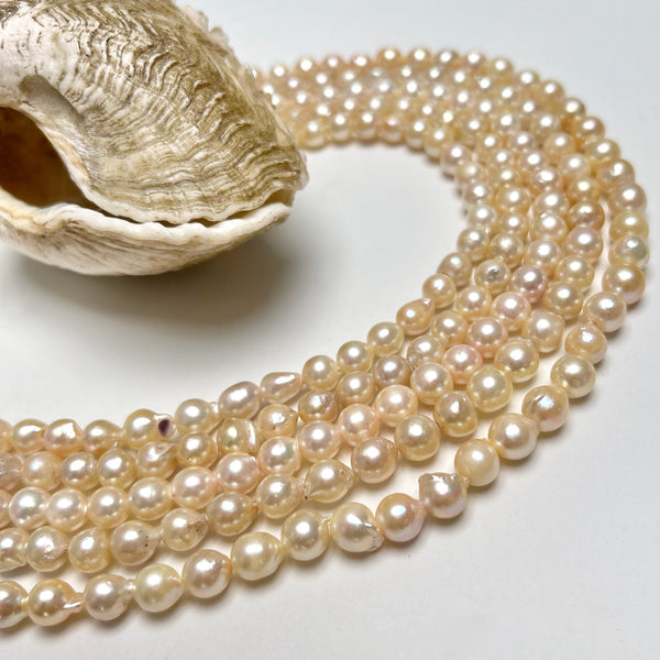 7-8mm Japan Akoya pearl strand