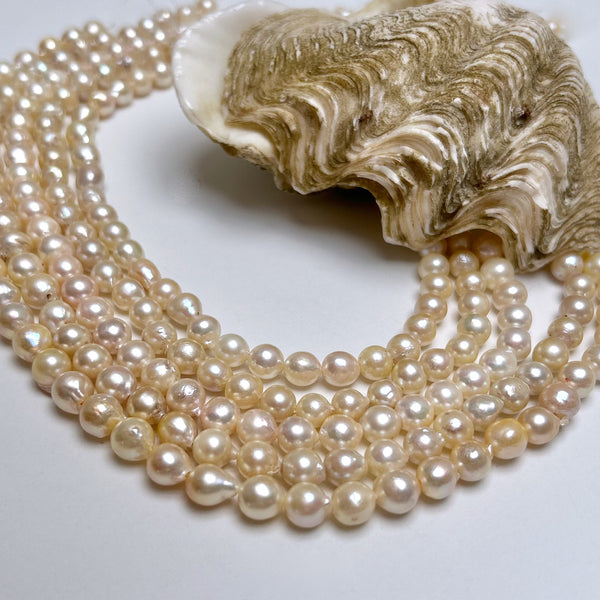 7-8mm Japan Akoya pearl strand