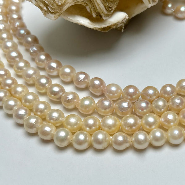 8+mm Japan Akoya pearl strand