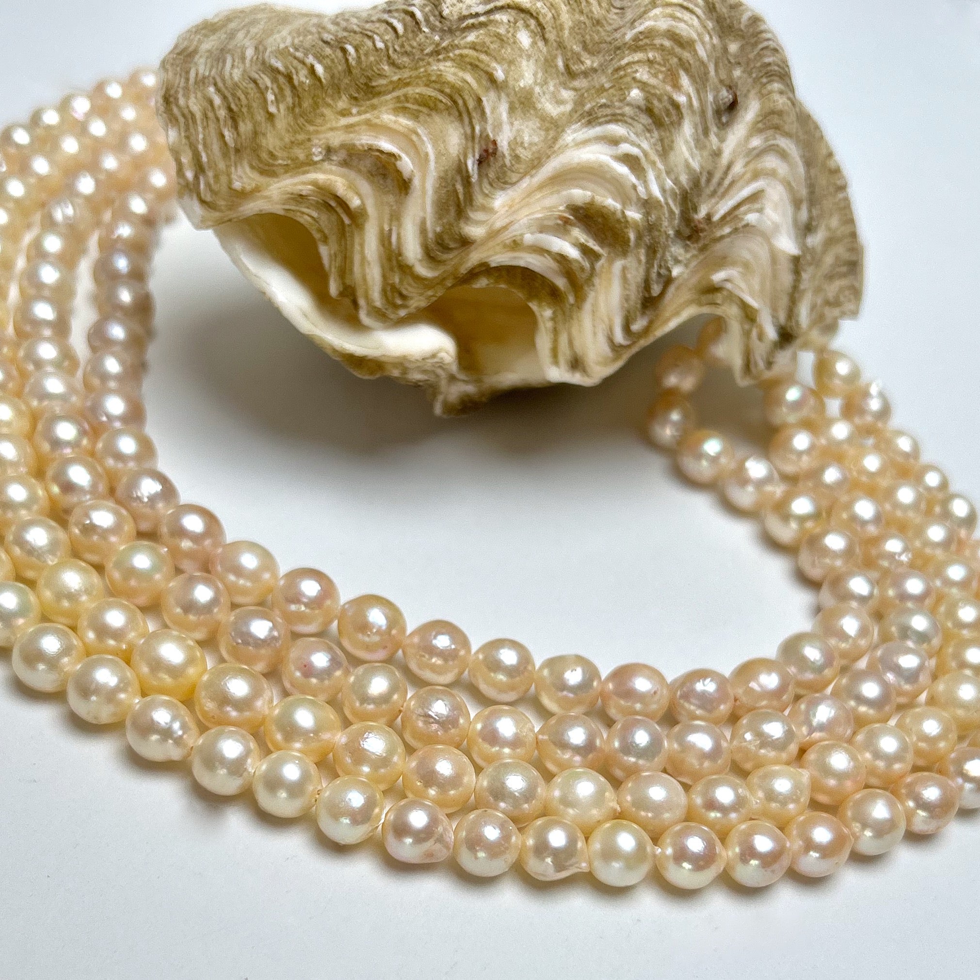 8+mm Japan Akoya pearl strand – Pacific Pearls