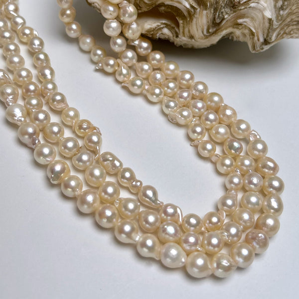 7+mm Japan Akoya pearl strand