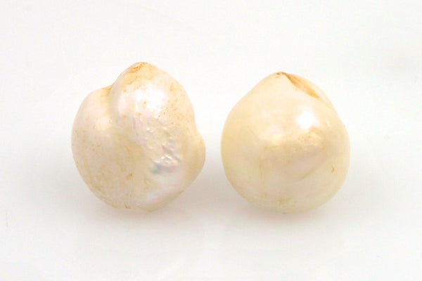 Pearl Pair In Parchment